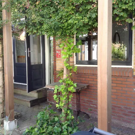 Zuid *